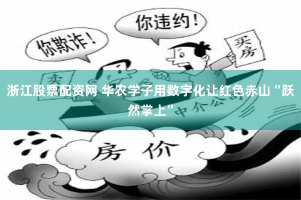 浙江股票配资网 华农学子用数字化让红色赤山“跃然掌上”