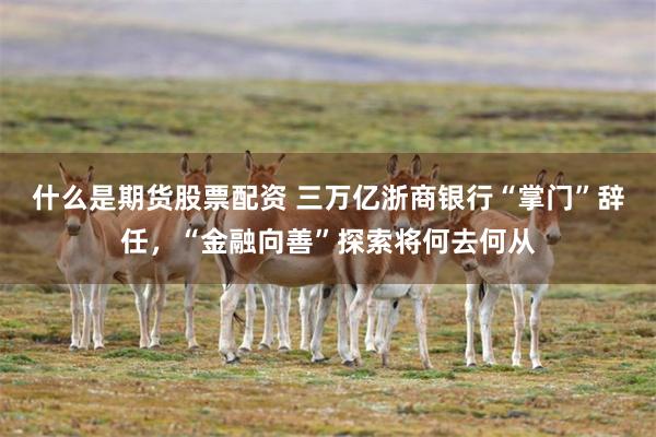 什么是期货股票配资 三万亿浙商银行“掌门”辞任，“金融向善”探索将何去何从