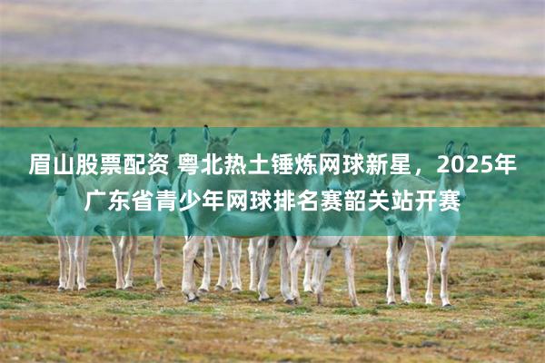 眉山股票配资 粤北热土锤炼网球新星，2025年广东省青少年网球排名赛韶关站开赛