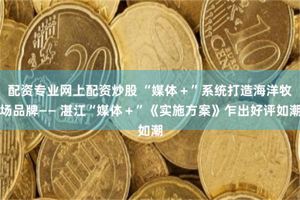 配资专业网上配资炒股 “媒体＋”系统打造海洋牧场品牌—— 湛江“媒体＋”《实施方案》乍出好评如潮