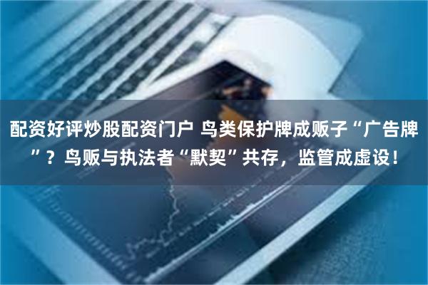 配资好评炒股配资门户 鸟类保护牌成贩子“广告牌”？鸟贩与执法者“默契”共存，监管成虚设！