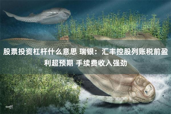 股票投资杠杆什么意思 瑞银：汇丰控股列账税前盈利超预期 手续费收入强劲