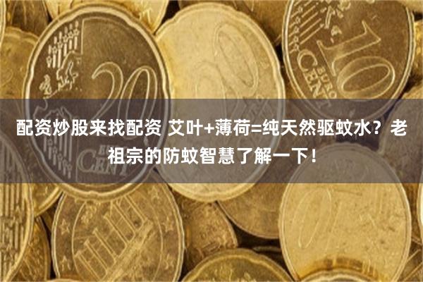 配资炒股来找配资 艾叶+薄荷=纯天然驱蚊水？老祖宗的防蚊智慧了解一下！