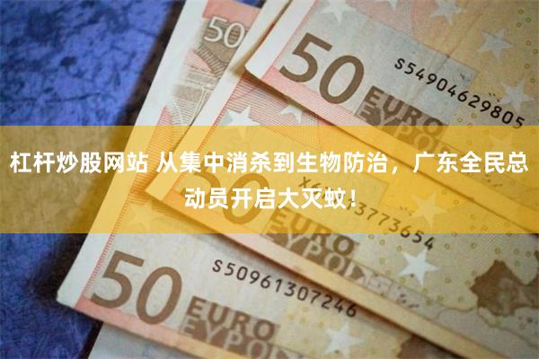 杠杆炒股网站 从集中消杀到生物防治，广东全民总动员开启大灭蚊！