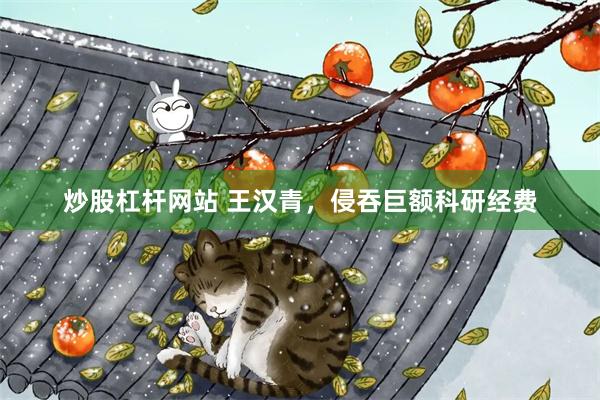 炒股杠杆网站 王汉青，侵吞巨额科研经费