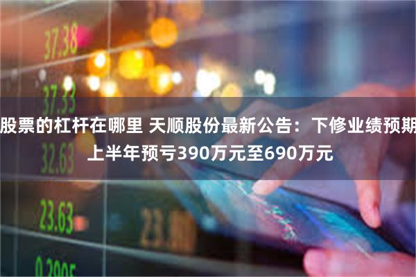 股票的杠杆在哪里 天顺股份最新公告：下修业绩预期 上半年预亏390万元至690万元