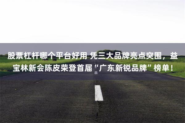 股票杠杆哪个平台好用 凭三大品牌亮点突围，益宝林新会陈皮荣登首届“广东新锐品牌”榜单！