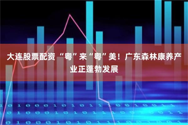 大连股票配资 “粤”来“粤”美！广东森林康养产业正蓬勃发展