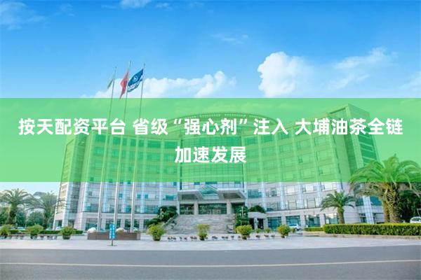 按天配资平台 省级“强心剂”注入 大埔油茶全链加速发展