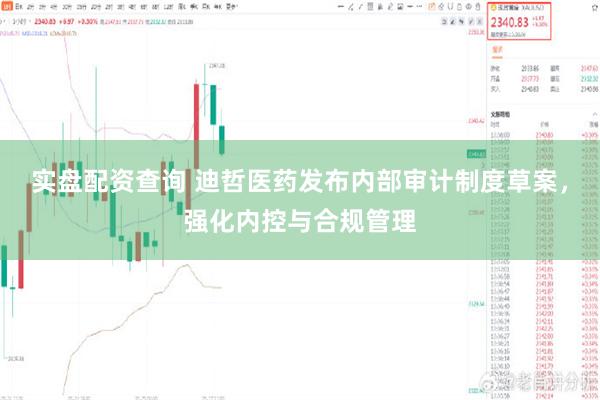 实盘配资查询 迪哲医药发布内部审计制度草案，强化内控与合规管理