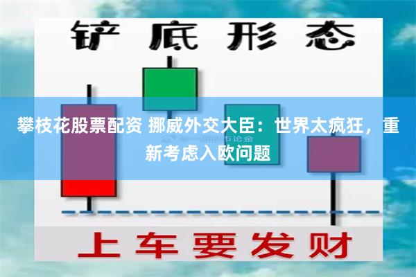 攀枝花股票配资 挪威外交大臣：世界太疯狂，重新考虑入欧问题