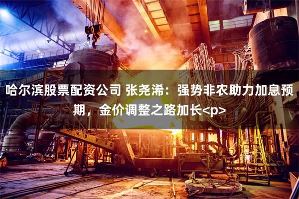 哈尔滨股票配资公司 张尧浠：强势非农助力加息预期，金价调整之路加长<p>