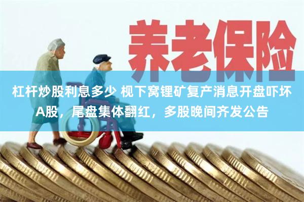 杠杆炒股利息多少 枧下窝锂矿复产消息开盘吓坏A股，尾盘集体翻红，多股晚间齐发公告