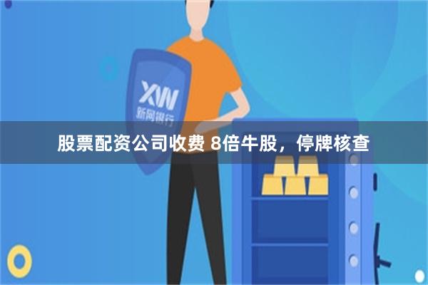 股票配资公司收费 8倍牛股，停牌核查