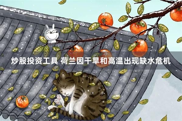 炒股投资工具 荷兰因干旱和高温出现缺水危机