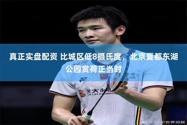 真正实盘配资 比城区低8摄氏度，北京夏都东湖公园赏荷正当时
