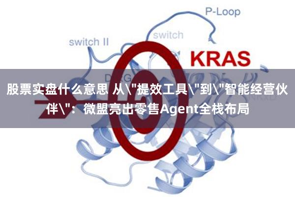 股票实盘什么意思 从