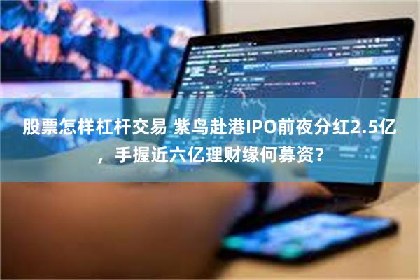 股票怎样杠杆交易 紫鸟赴港IPO前夜分红2.5亿，手握近六亿理财缘何募资？