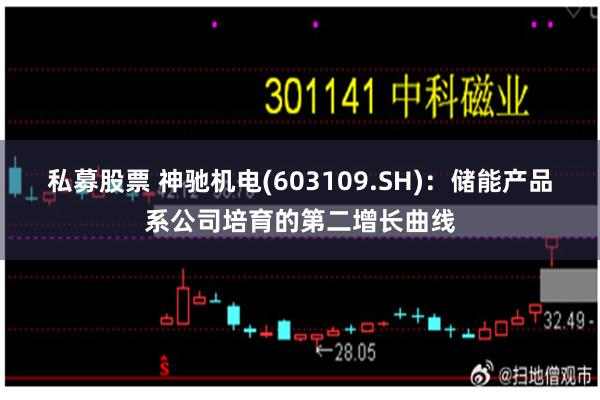 私募股票 神驰机电(603109.SH)：储能产品系公司培育的第二增长曲线