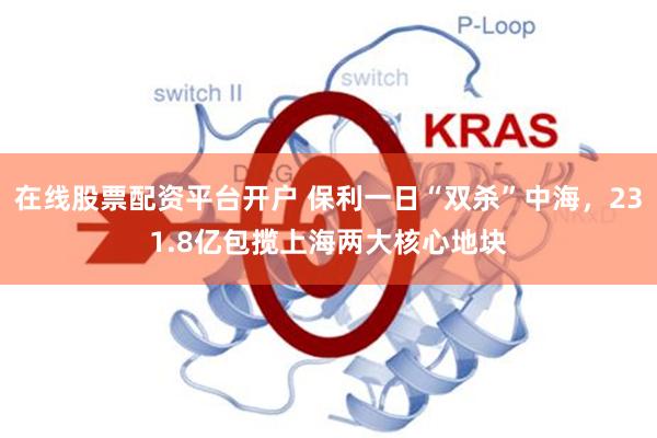 在线股票配资平台开户 保利一日“双杀”中海,231.8亿包揽上海两大核心地块