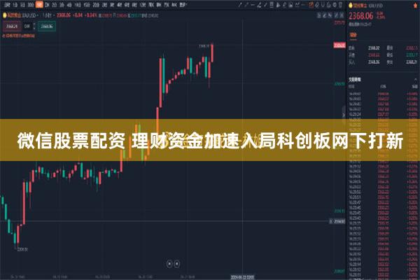 微信股票配资 理财资金加速入局科创板网下打新